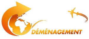 DFI Déménagement